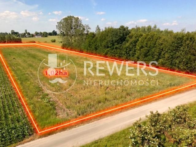 Działka 10 200 m², Trębaczów