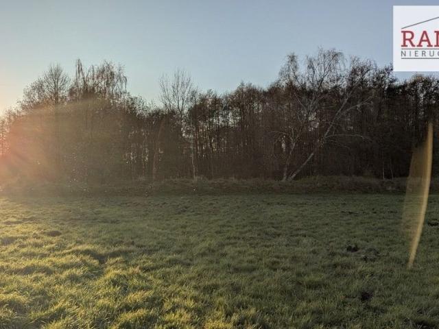 Działka 10 200 m² z stawem w Czeszewskim Rezerwacie polecam!