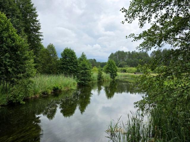 Działka 10 230 m², Muły