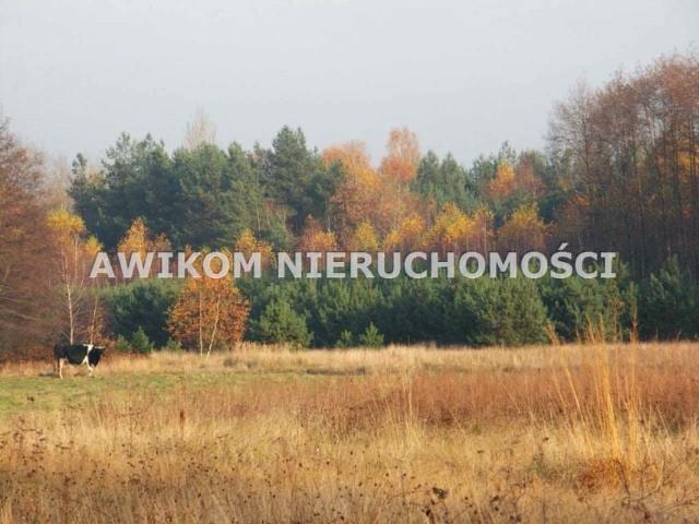 Działka 10 300 m², Skierniewice
