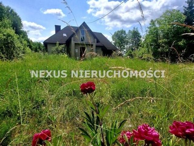 Szlachecka 10 558 m², Rokitno Szlacheckie
