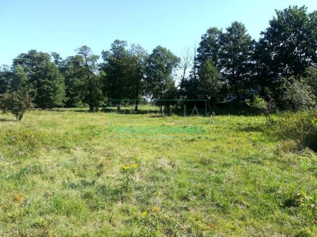 Działka 10 569 m², Grodzisk Mazowiecki