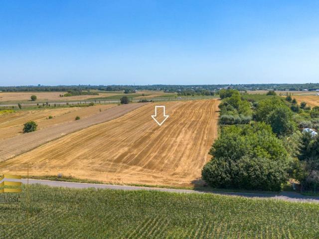 Działka 10 587 m2 z warunkami zabudowy w Konopnicy