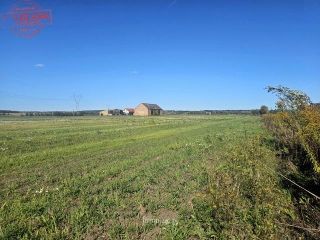 Działka 10 594 m², Osiedle Poznańskie