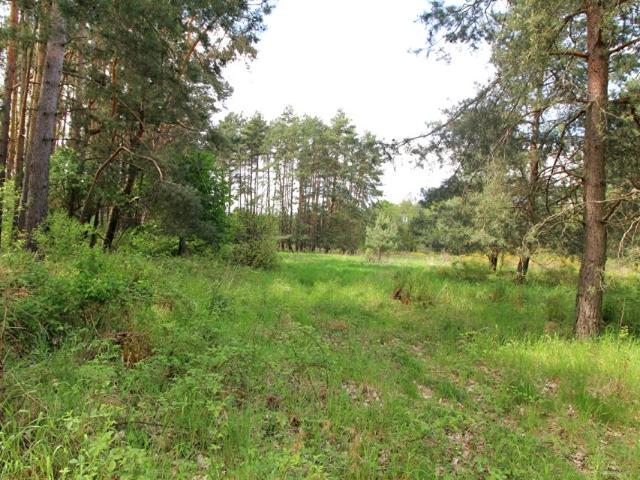 Działka 10 670 m², Brynica