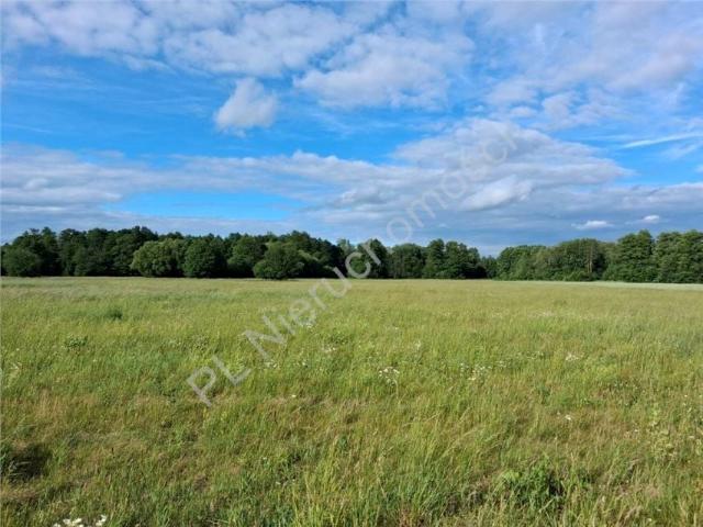 Działka 10 600 m², Stare Budy