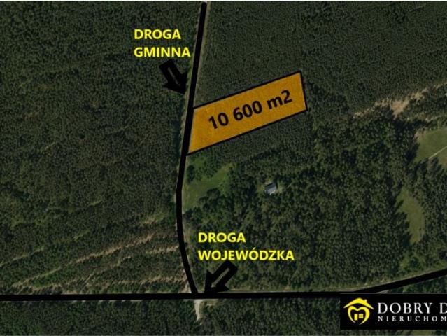 Działka 10 600 m², Talkowszczyzna