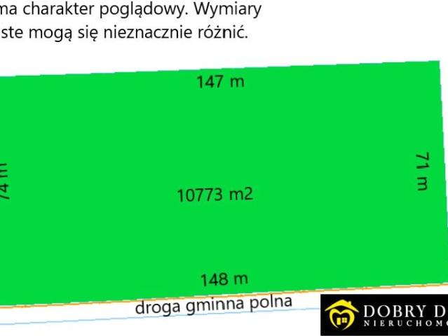 Działka 10 773 m², Złotoria