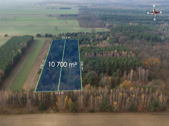 Działka 10 700 m², Jedlno Pierwsze