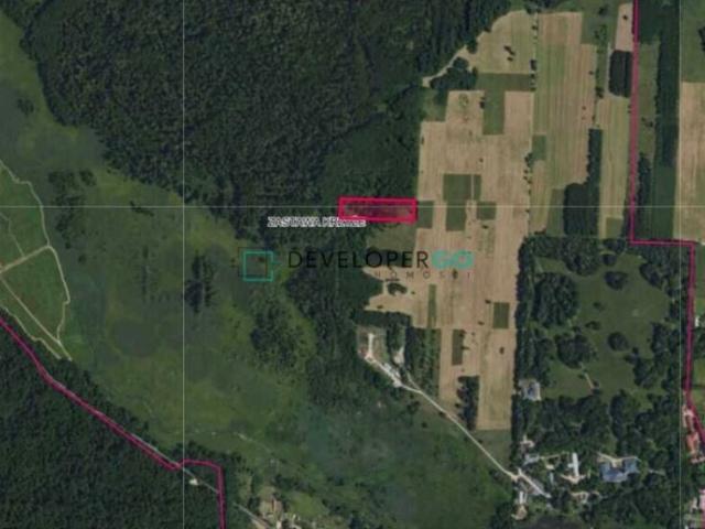 Działka 10 800 m², Białowieża