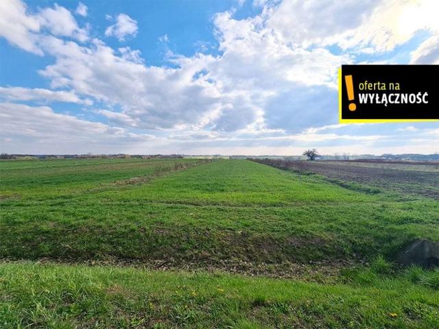 Działka 10 800 m², Łubnice