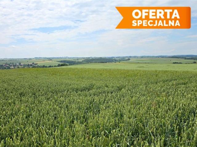 Działka 10 900 m², Minoga