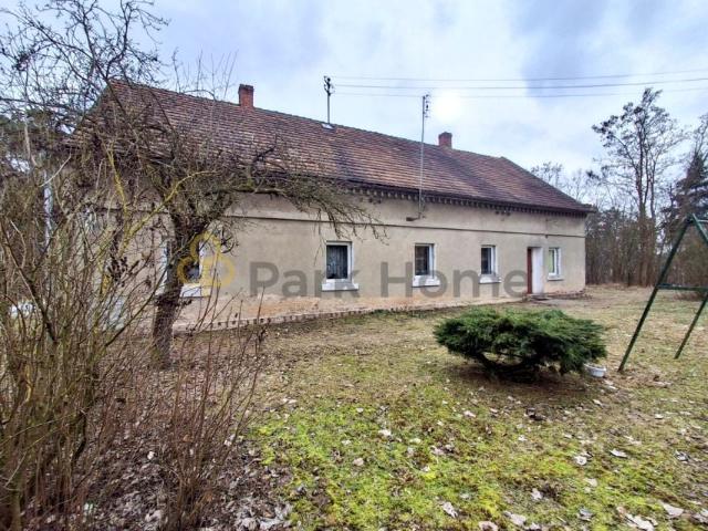 Działka 113 283 m², Gębice