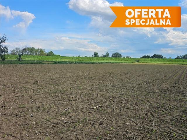 Działka 1100 m² z warunkami zabudowy, spokojna okolica