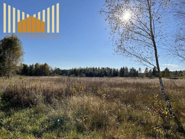 Działka 1100 m² w Anielewie – media, blisko trasy!