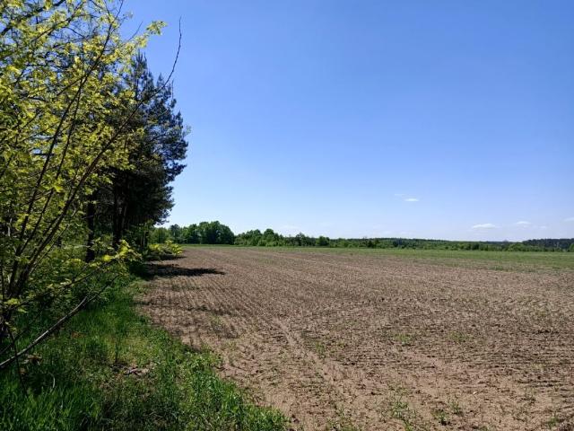 Działka 110 000 m², Trzebule
