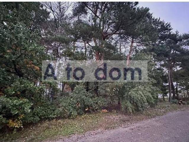 Działka 1128 m² z lasem, media, plan Miejscowy
