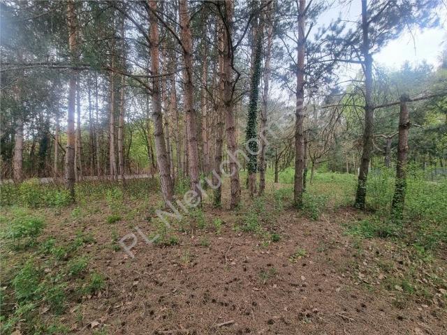 Działka 1130 m2 pod dom w otoczeniu natury, media, prywatność