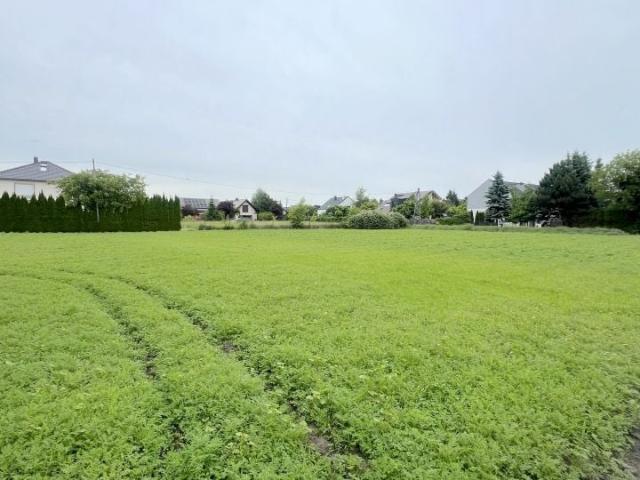 Działka 11 090 m², Poznań