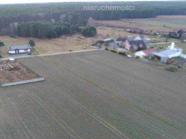 Działka 11 000 m² w Nowym Świecie zapraszam