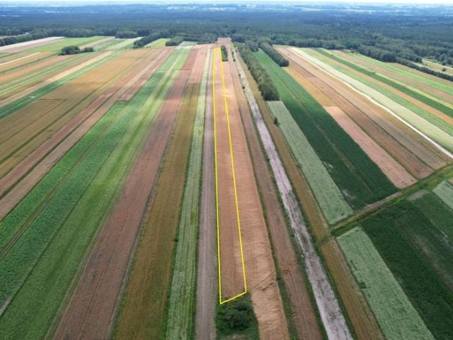 Działka 11 200 m², Aleksandrów