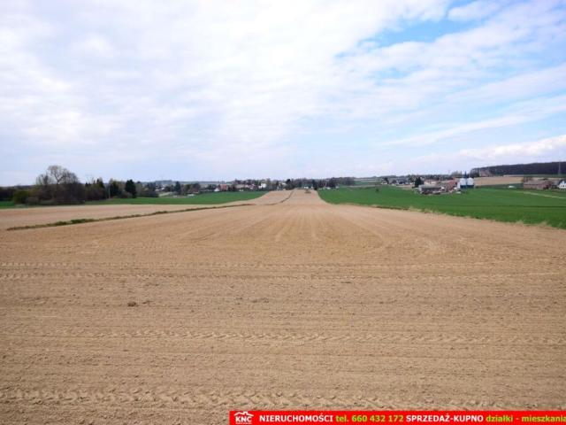 Działka 11 200 m², Zemborzyce Podleśne