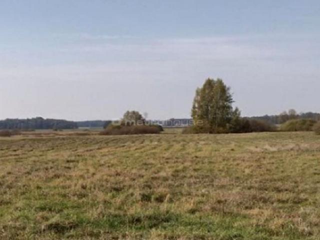 Działka 11 387 m², Opole Świerczyna