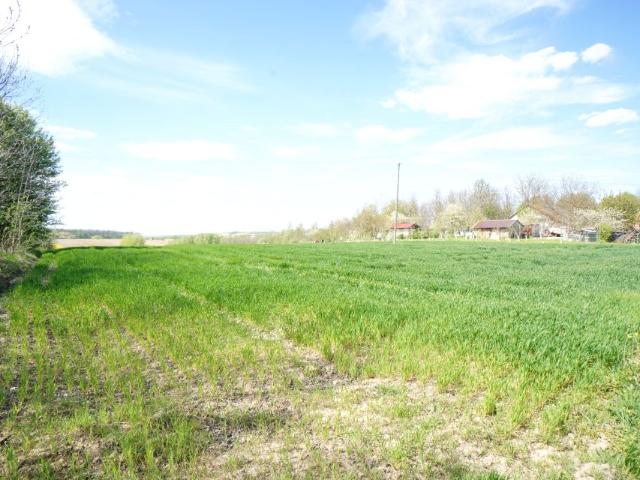 Działka 11 300 m², Ożańsk