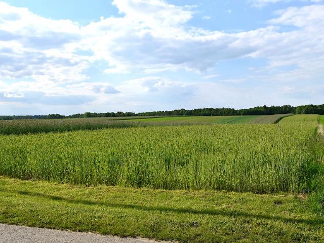 Działka 11 300 m², Policzna