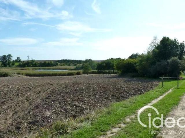 Działka 11 403 m², Zieleniewo