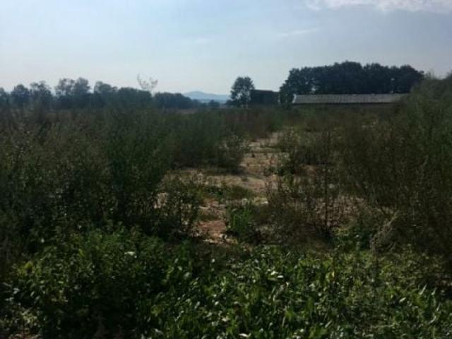 Działka 11 500 m², Drogomyśl