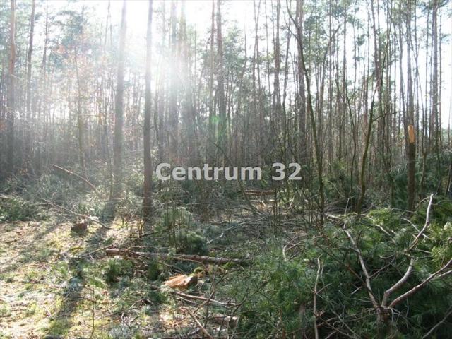 Działka 11 500 m² z MPZP, pod zabudowę rezydencjonalną