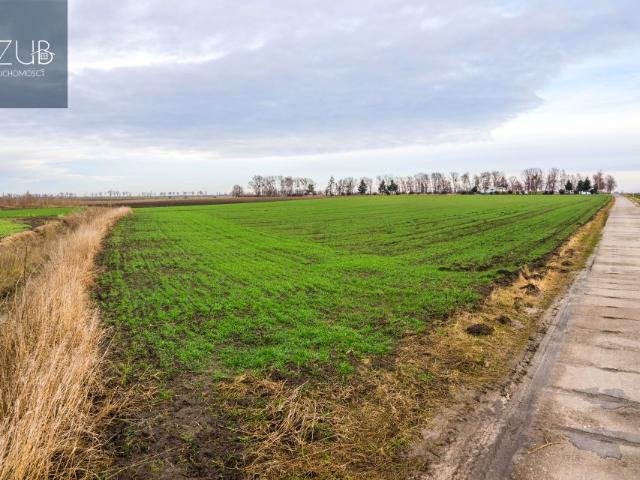 Działka 11 758 m², Jeziory Małe