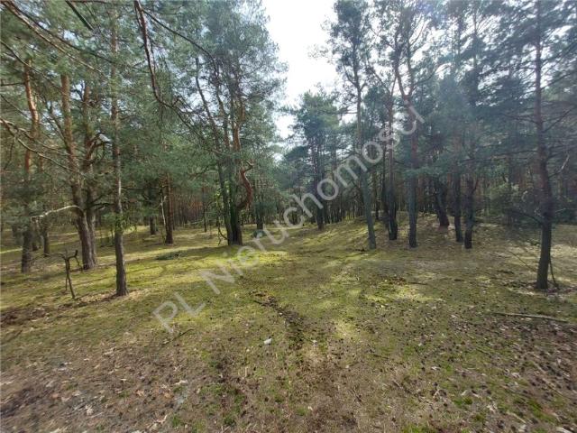 Działka 11 732 m², Arciechów