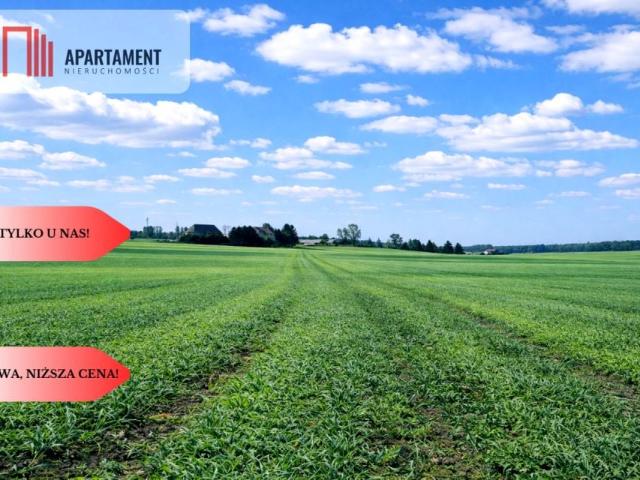 Działka 11 800 m², Osetno