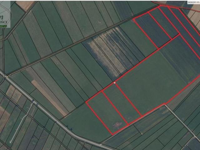 Działka 11,96 ha z dostępem do mediów i asfaltowym dojazdem