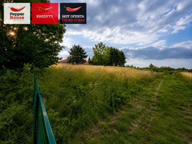 Działka 11 900 m², Łęcze