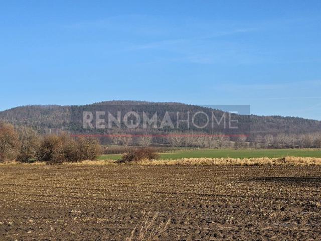 Działka 1200 m² w Książnicy – mikroklimat i spokój