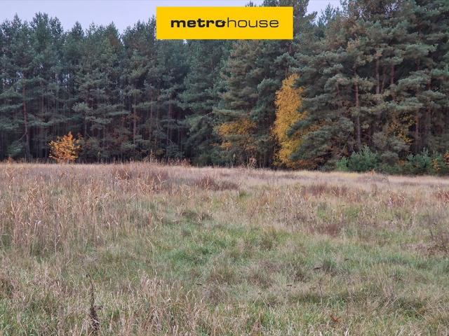 Działka 1200m² z lasem, media w drodze, idealna inwestycja