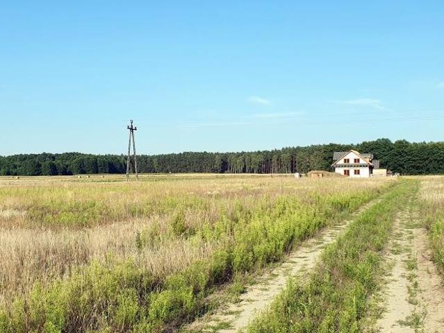 Działka 1209 m2 pod lasem, blisko jeziora i infrastruktury