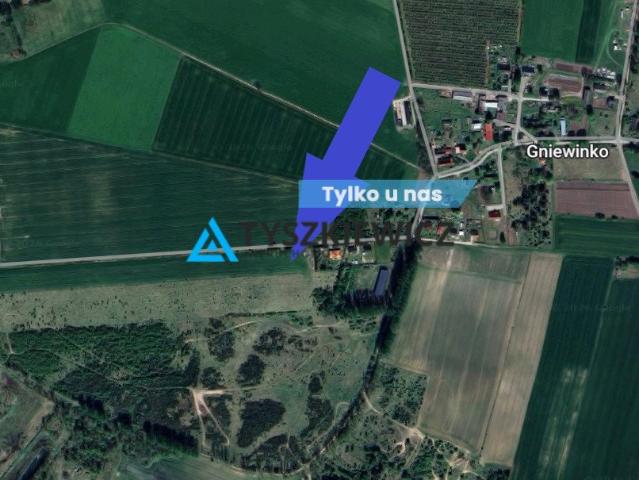 Działka 1231 m2 w Gniewinku – spokój i blisko natury