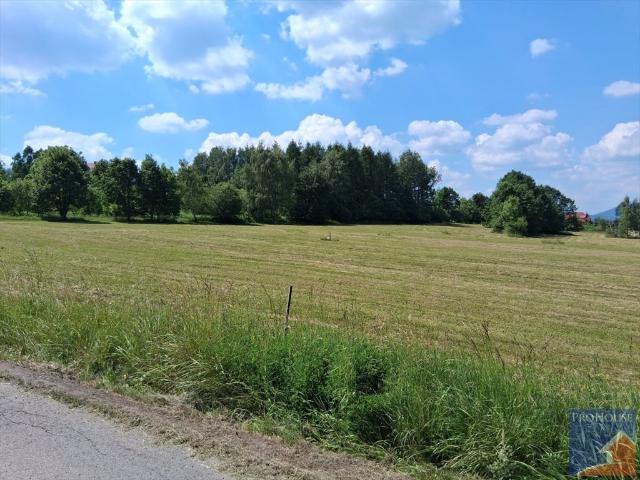 Działka 1238 m² w Sowlinach z warunkami zabudowy