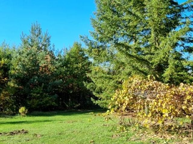 Działka 127 200 m², Żółwin