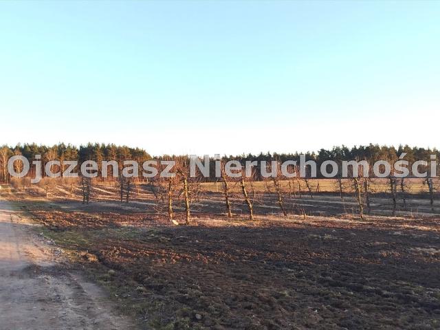 Działka 1290 m² pod zabudowę w Szczutkach, prąd w drodze