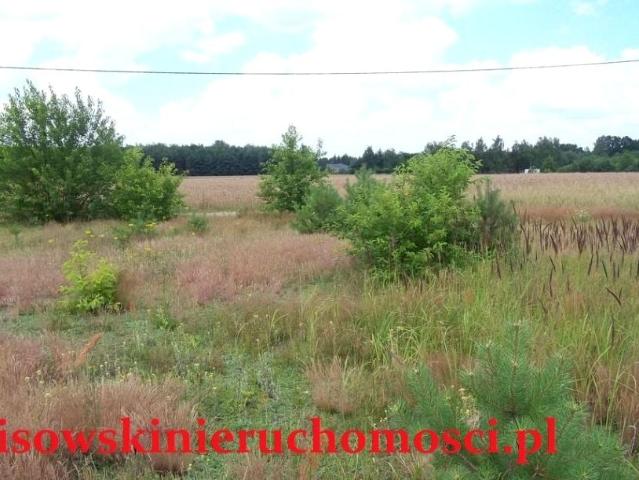 Działka 12 000 m², Bełdów