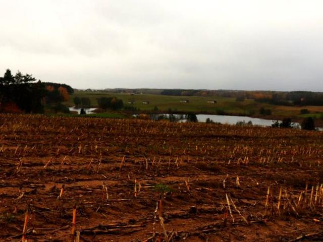 Działka 12 000 m², Żegary