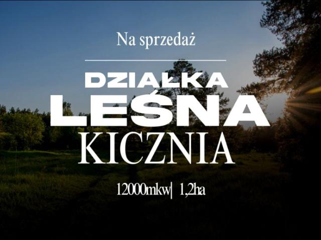 Działka 12 000 m², Kicznia