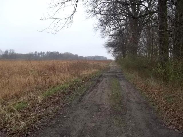 Działka 12 000 m², Wilczyce