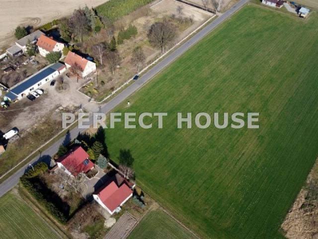 Działka 12 030 m², Nowy Dwór