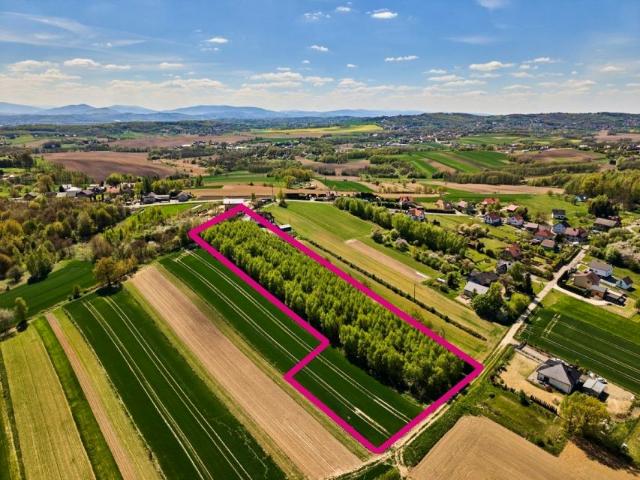 Działka 12 187 m², Suchoraba